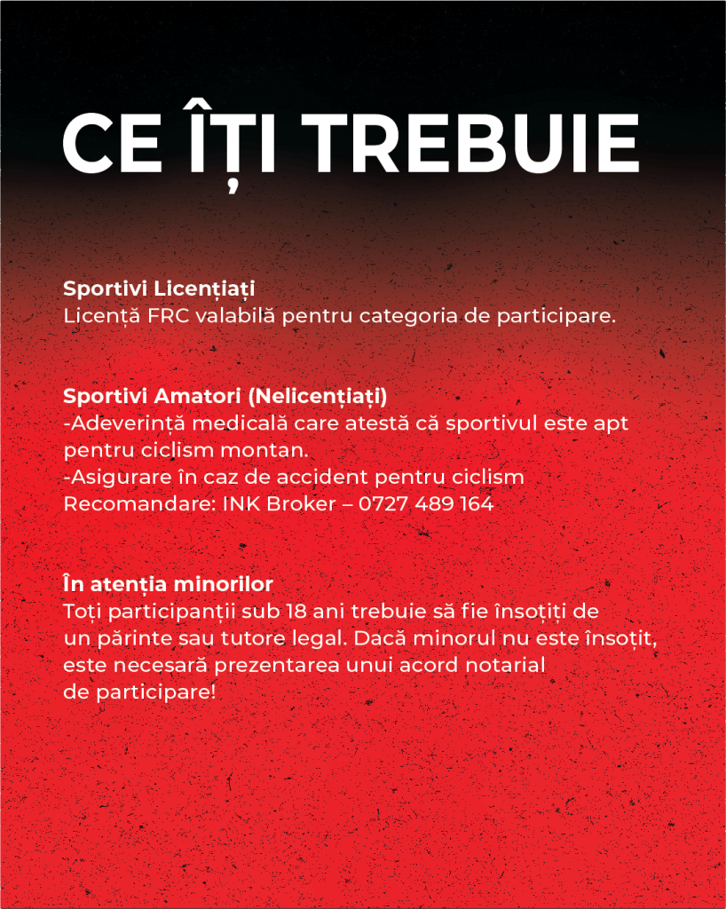 Asset 19